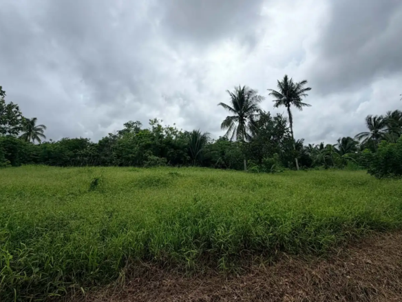 260 sqm farm lot in Amadeo, Cavite