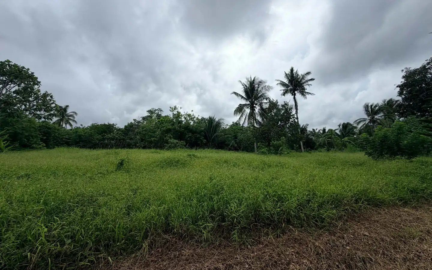 260 SQM Farm Lot in Amadeo, Cavite 260 sqm farm lot in Amadeo, Cavite