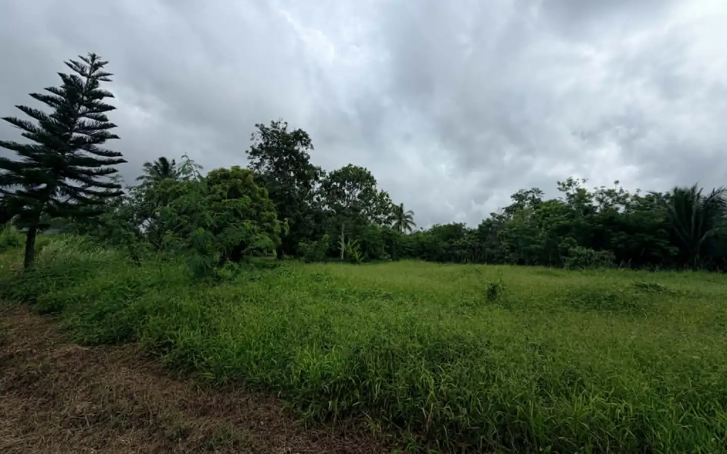 Farm Lot Location in Amadeo, Cavite Farm lot location in Amadeo, Cavite